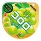UHA Mikakuto Kororo Gummy 52g - Exotic Candy - Display of 6 (China)