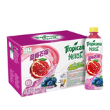 Tropicana Fruit Juice Exotic Drink 450ml - Case Of 15 (China)