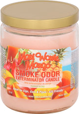 Smoke Odor Exterminator Candle Jar 13oz