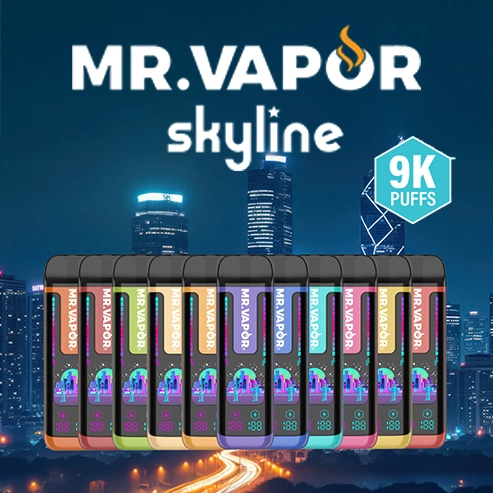 MR. VAPOR skyline vape devices with colorful packaging against a cityscape background