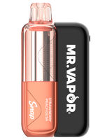 Mr. Vapor Snap Pro Kit 50K Puffs Disposable Vape - Display of 5