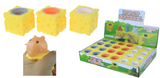 Pop-Up Squirrel Cheese Squishy - Display of 24