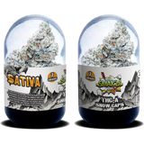 Smak'D 7g THC-A Snow Caps Flower 6ct Display (MSRP $49.99ea)
