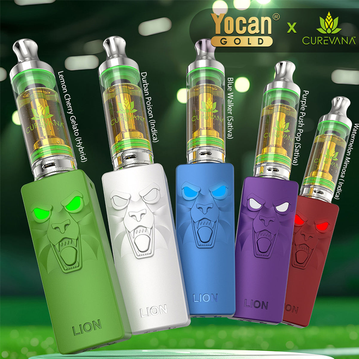 Yocan Gold X Curevana Kodo Lion THC-A Cartridge + 510 Thread Battery