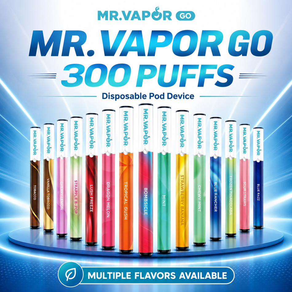 Mr. Vapor Go 300 Puffs Disposable Vape - Pack of 3 / Display of 8