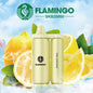 Flamingo SKB25000 25K Puffs Disposable Vape - Display of 5 (MSRP $19.99 Each)