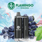Flamingo SKB25000 25K Puffs Disposable Vape - Display of 5 (MSRP $19.99 Each)
